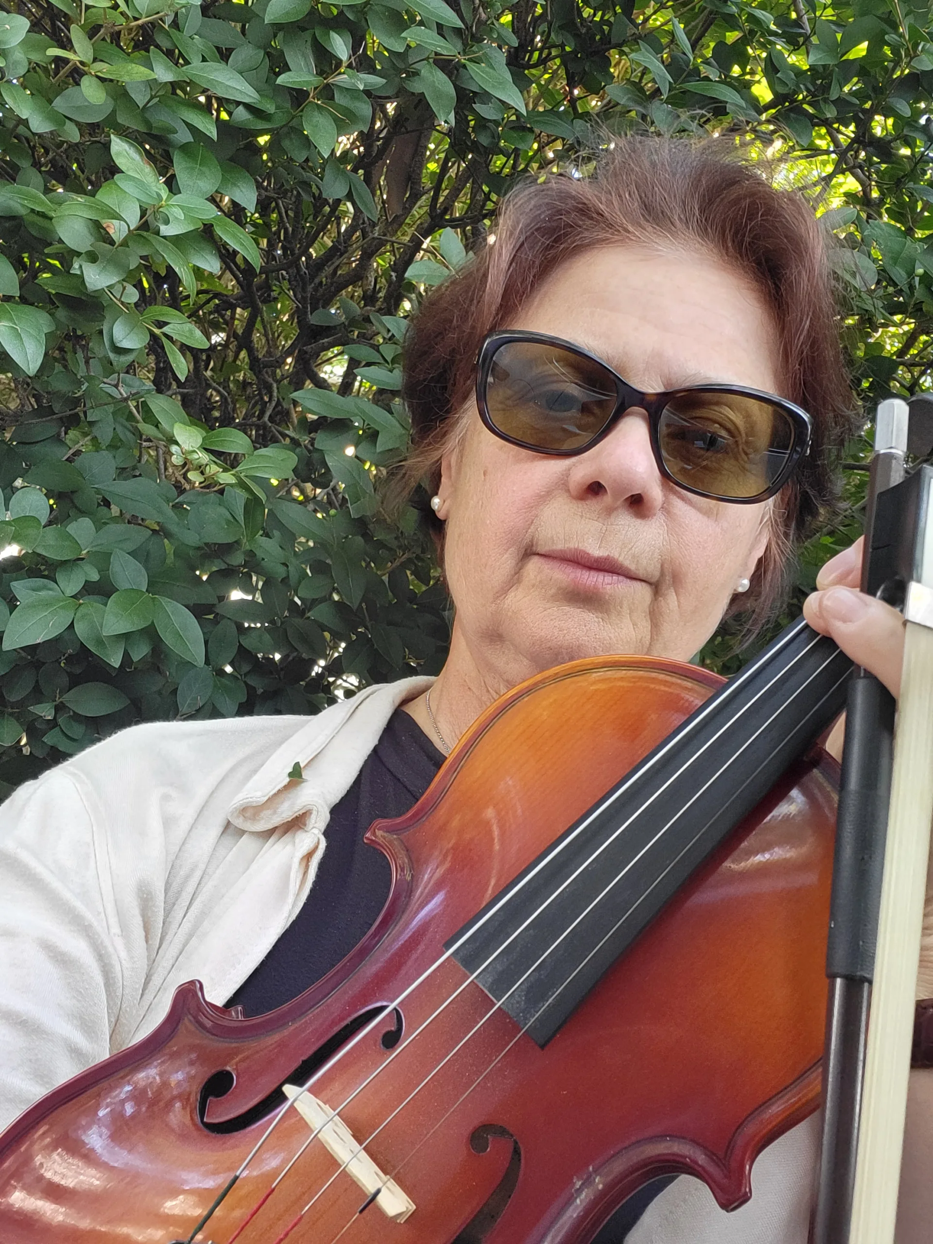 Larissa D. Vollis, Violin